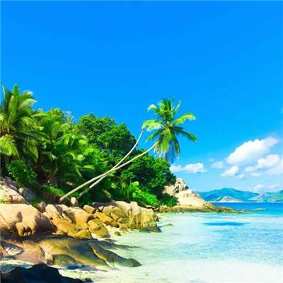 49图库一资料中心app下载